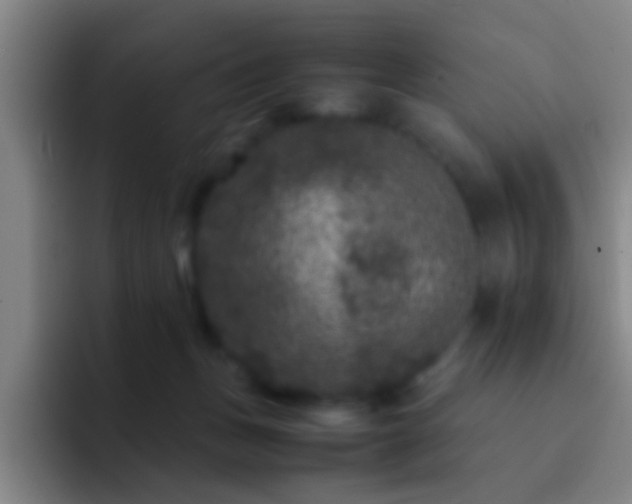 X0000092290175200709211220