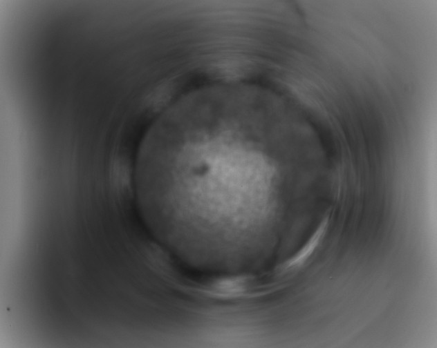 X0000092290178200709211220