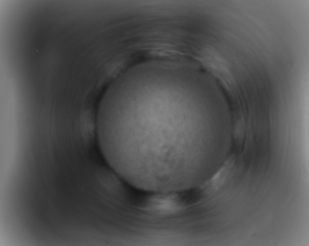 X0000092290179200709211220