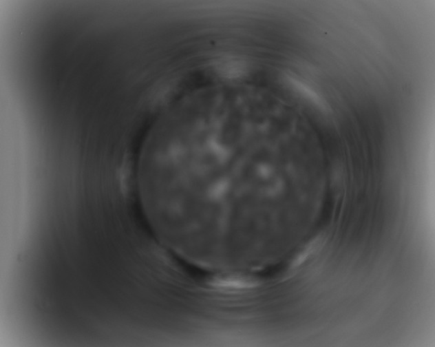 X0000092290181200709211220