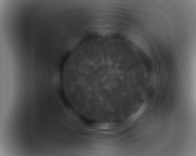 X0000092290182200709211220