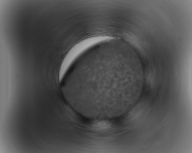 X0000092290185200709211220