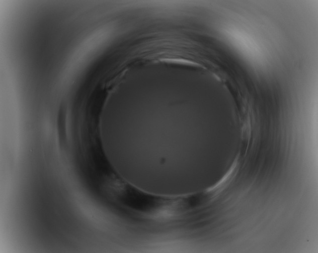 X0000092290191200709211220