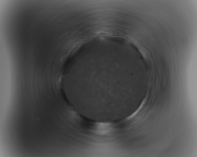 X0000092290192200709211220