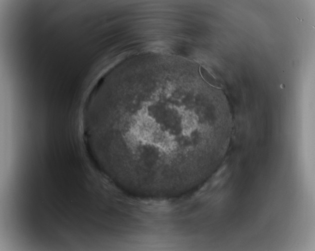 X0000092290194200709211219