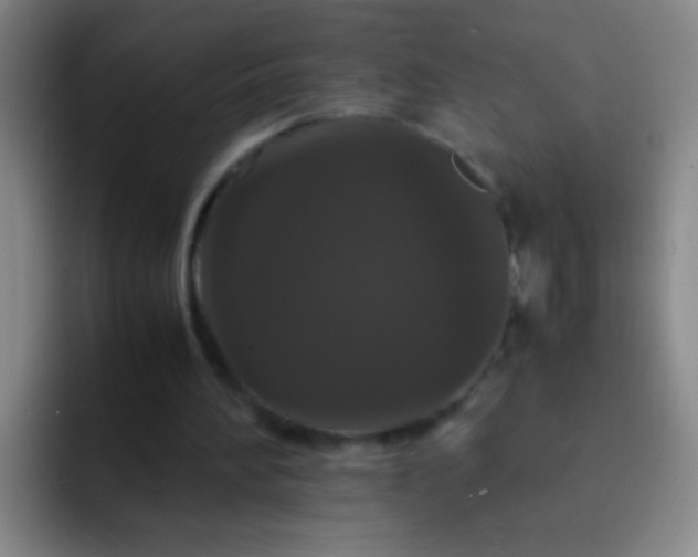 X0000092290196200709211219