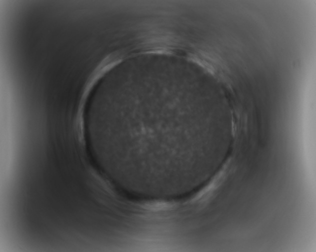 X0000092290198200709211219