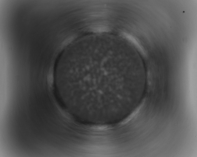 X0000092290202200709211219