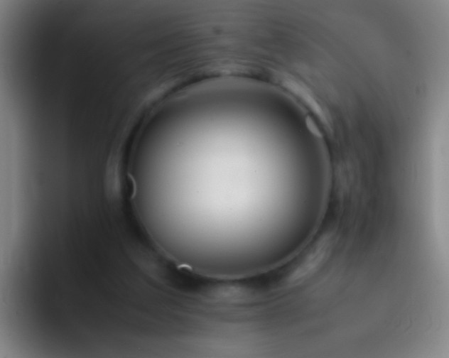 X0000092290203200709211219