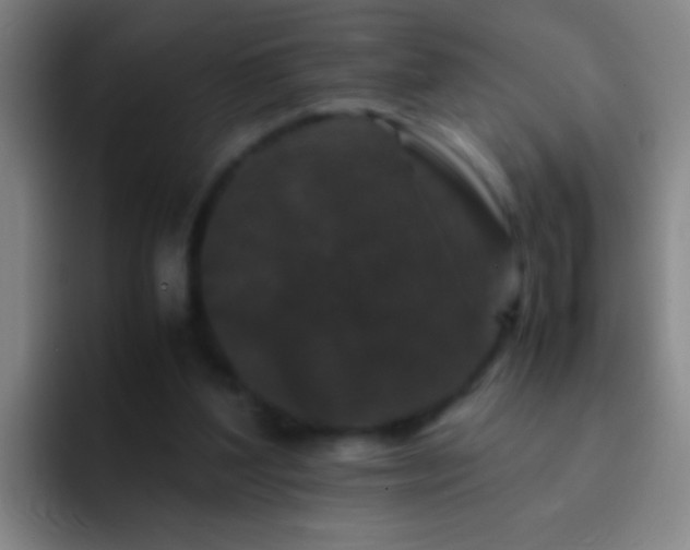 X0000092290204200709211219