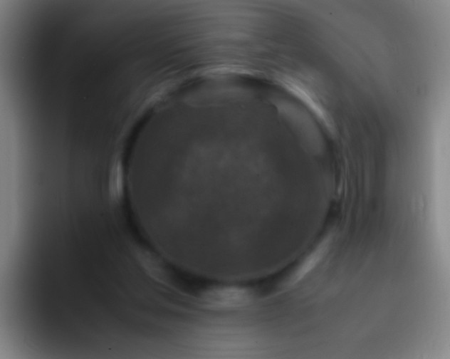 X0000092290205200709211219