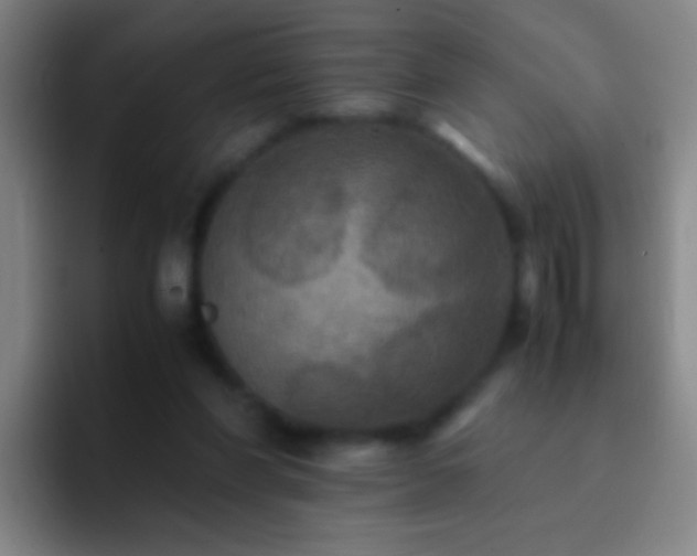 X0000092290206200709211219