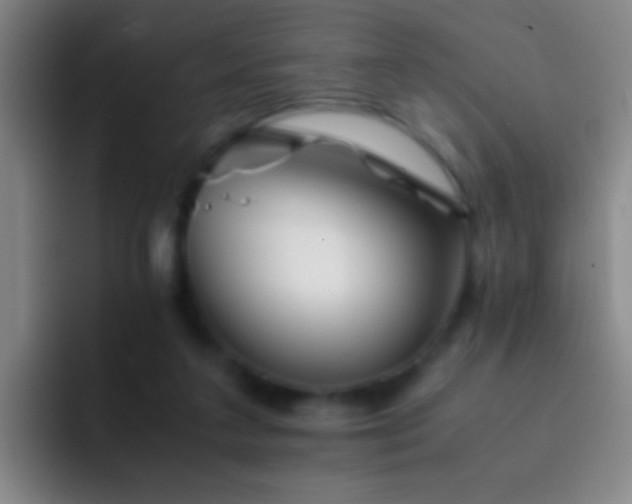 X0000092290211200709211219