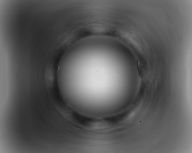 X0000092290215200709211219