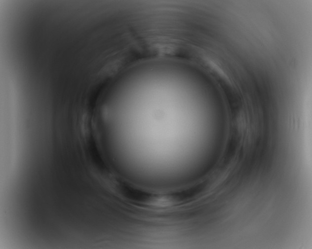 X0000092290218200709211219