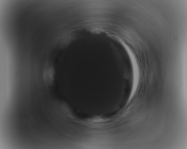 X0000092290219200709211219