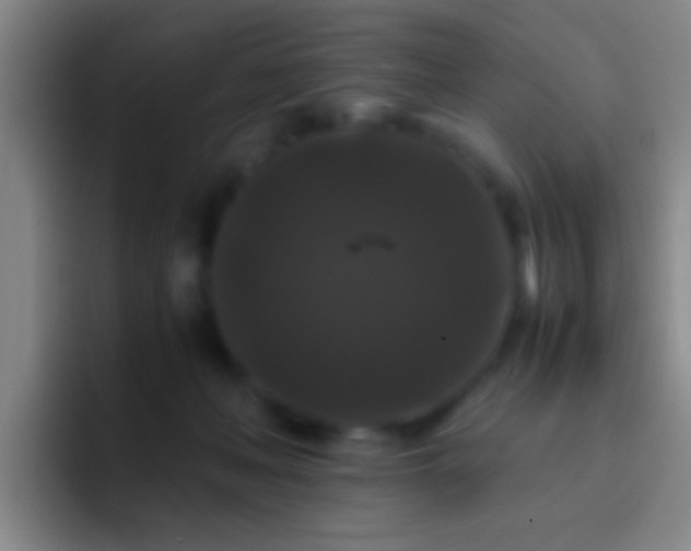 X0000092290222200709211219