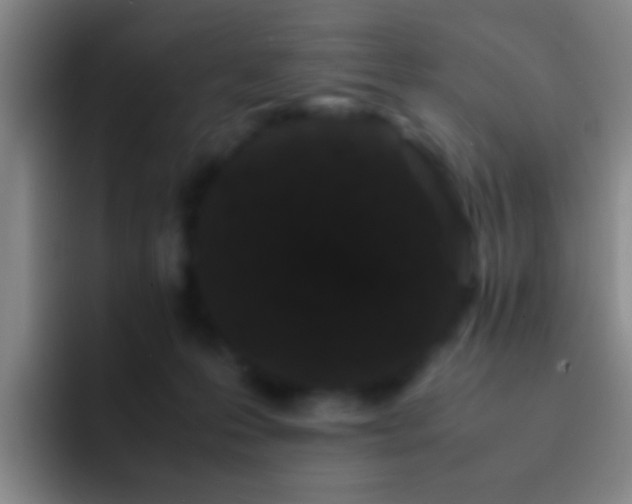 X0000092290223200709211219