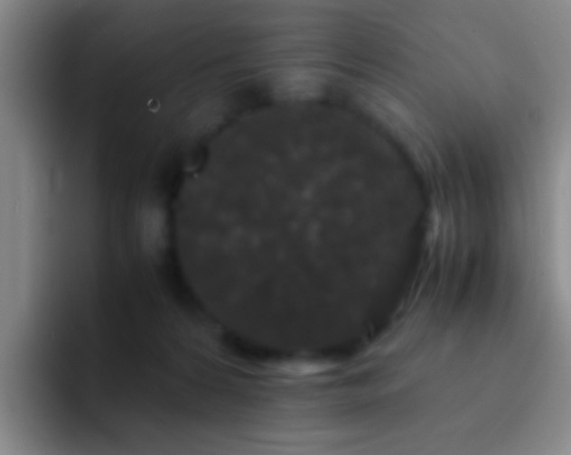 X0000092290224200709211219