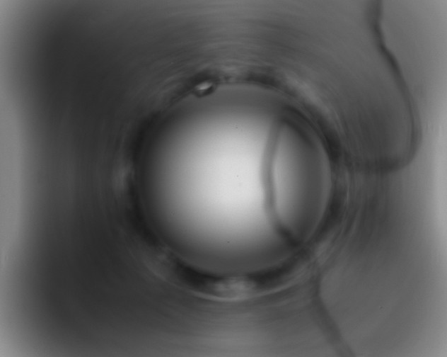 X0000092290225200709211219