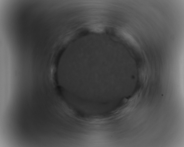 X0000092290229200709211219