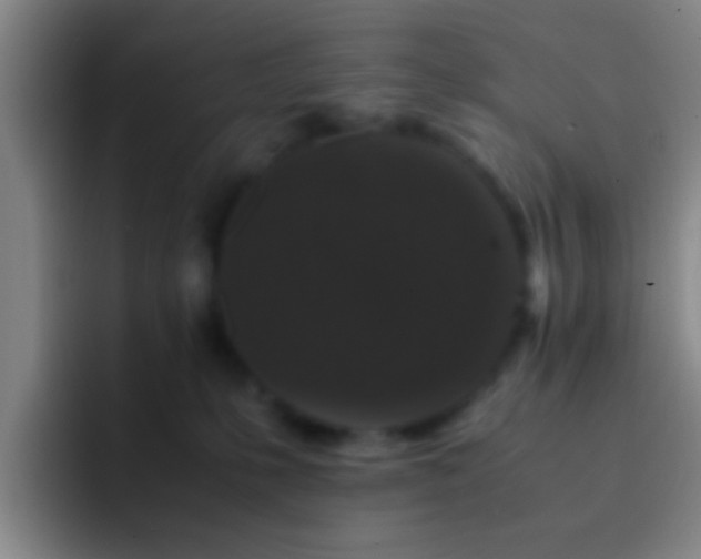 X0000092290231200709211219