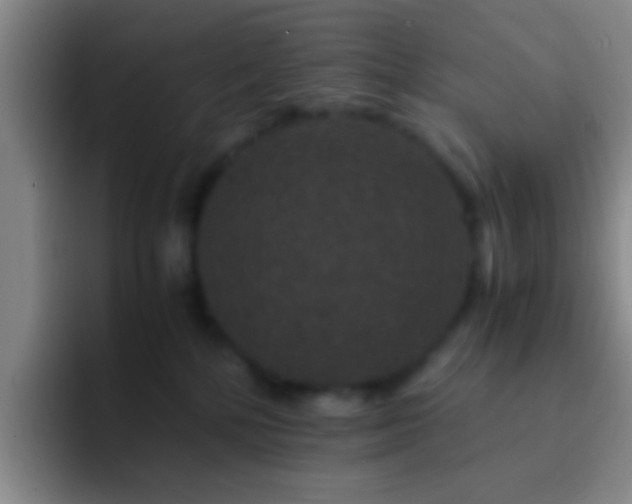 X0000092290232200709211219