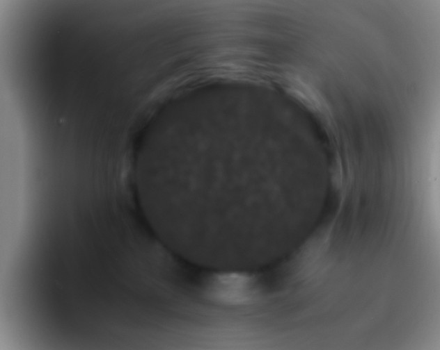 X0000092290233200709211219