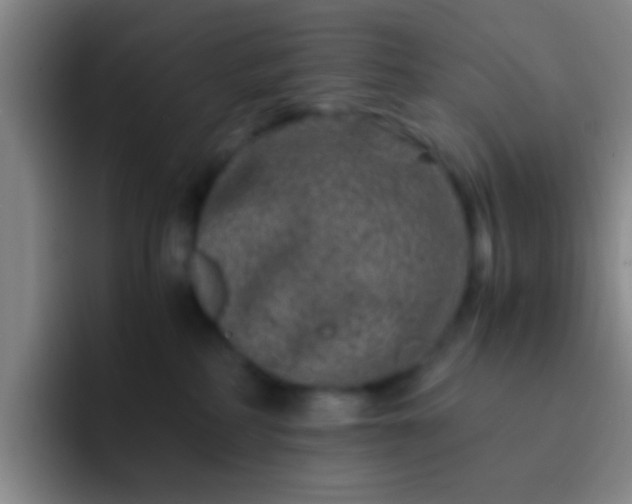 X0000092290234200709211219