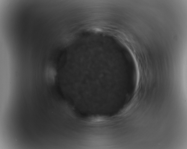 X0000092290235200709211219