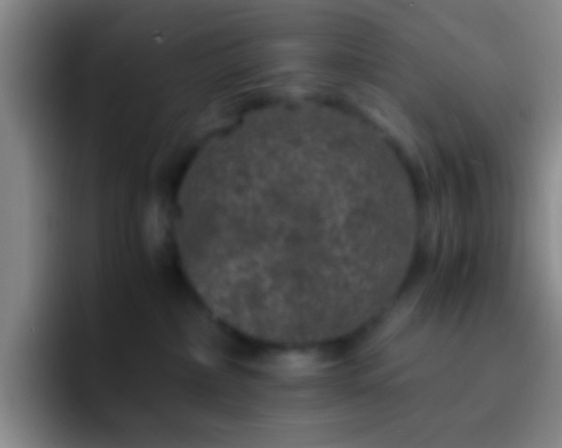 X0000092290236200709211219