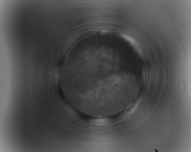 X0000092290237200709211219