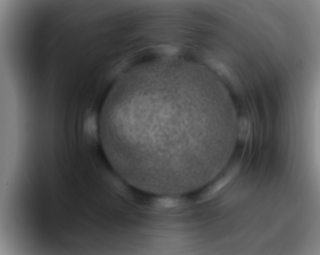 X0000092290238200709211219