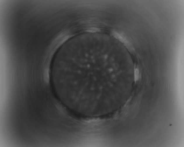 X0000092290243200709211218