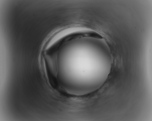 X0000092290244200709211218