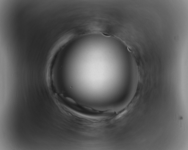 X0000092290245200709211218