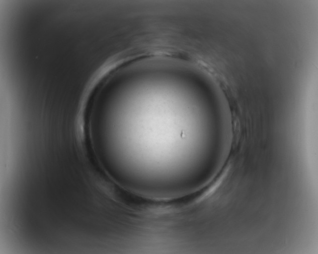 X0000092290246200709211218