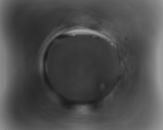 X0000092290247200709211218