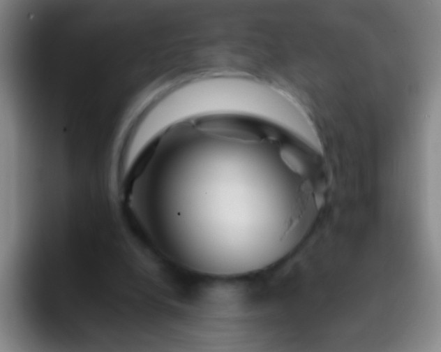 X0000092290248200709211218