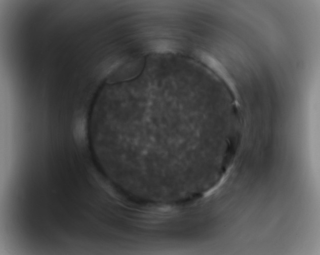 X0000092290249200709211218