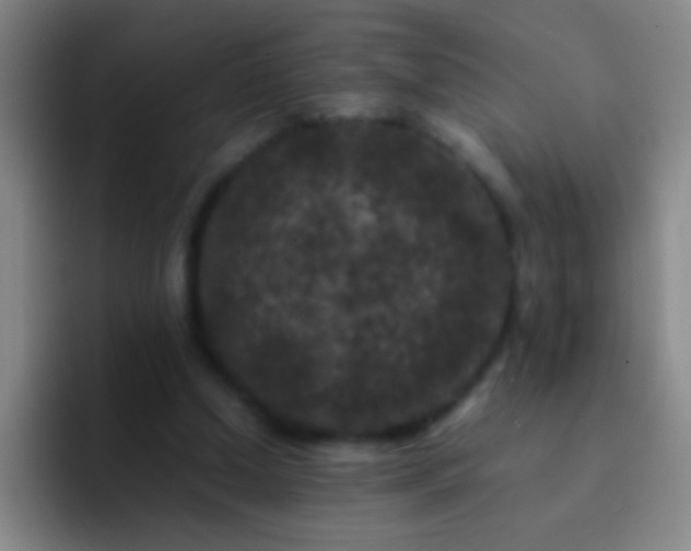 X0000092290250200709211218