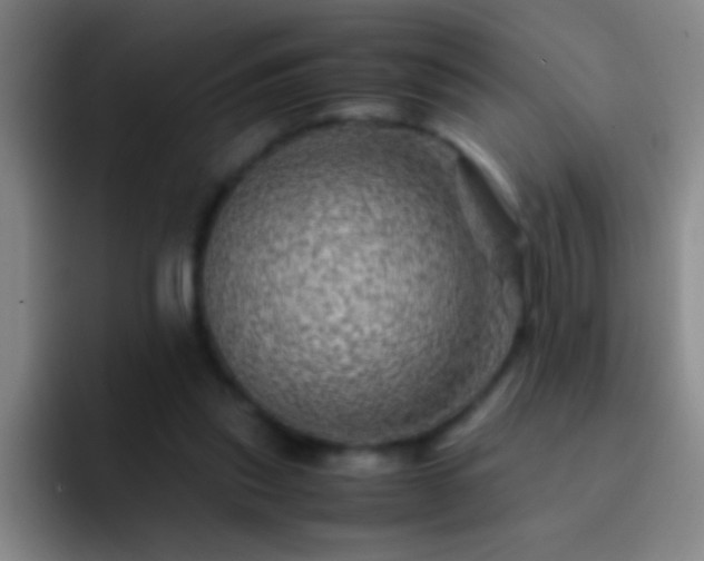 X0000092290253200709211218