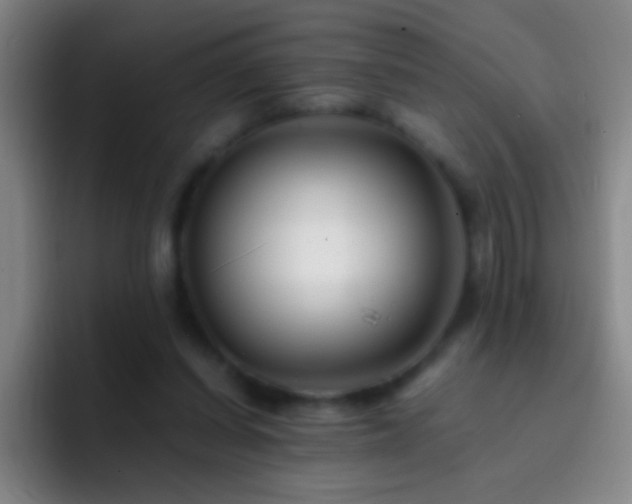 X0000092290254200709211218