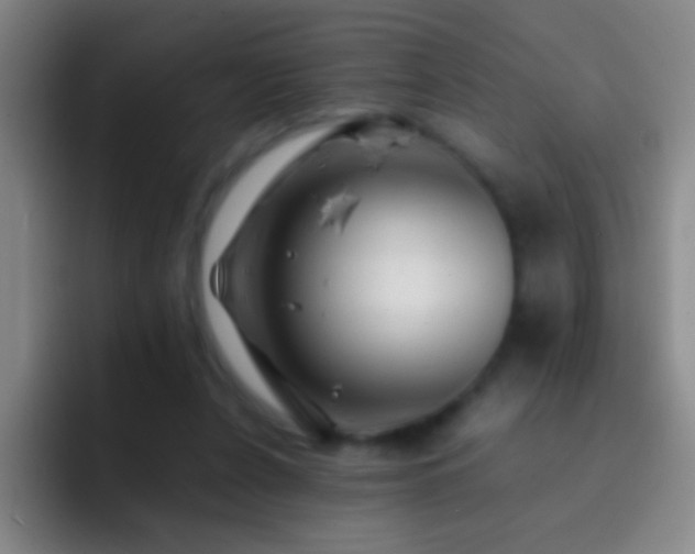 X0000092290256200709211218