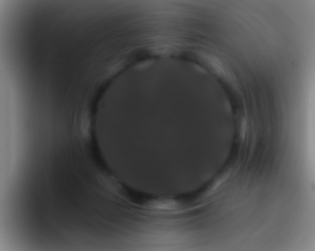 X0000092290266200709211218