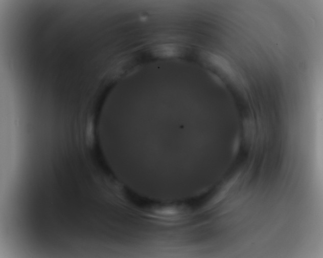 X0000092290267200709211218