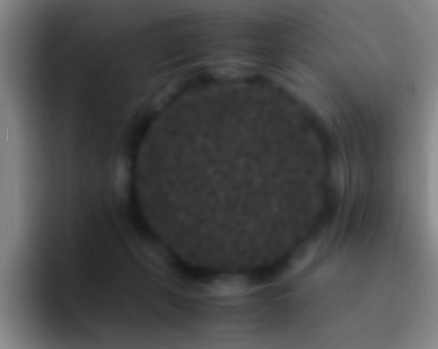 X0000092290271200709211218