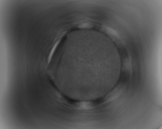 X0000092290273200709211218