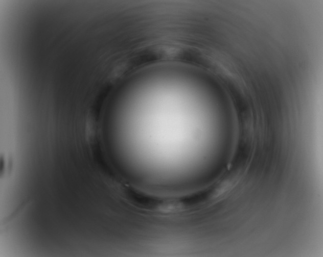 X0000092290274200709211218