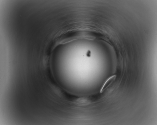 X0000092290280200709211219